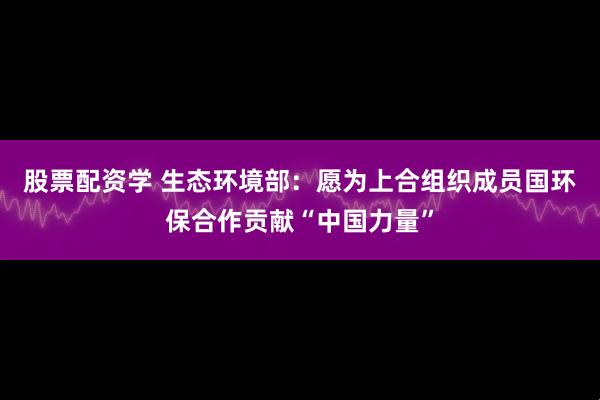 股票配资学 生态环境部：愿为上合组织成员国环保合作贡献“中国力量”